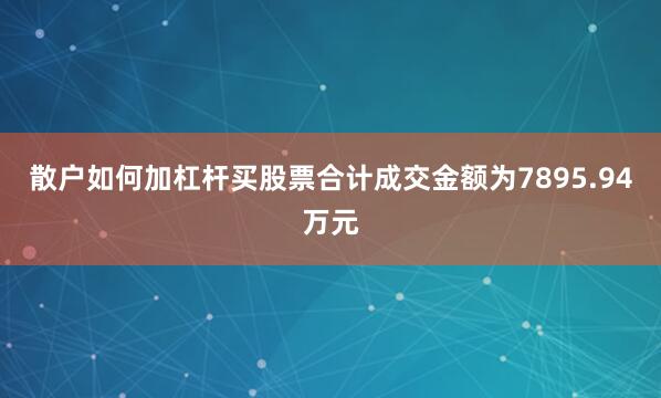 散户如何加杠杆买股票合计成交金额为7895.94万元
