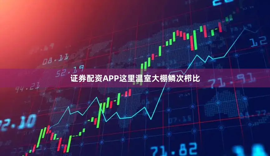 证券配资APP这里温室大棚鳞次栉比