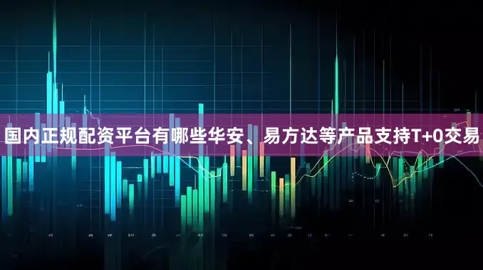 国内正规配资平台有哪些华安、易方达等产品支持T+0交易